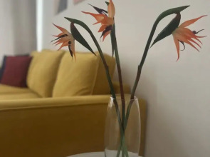 Квартира просторная 2-х комнатная на Центральной площади