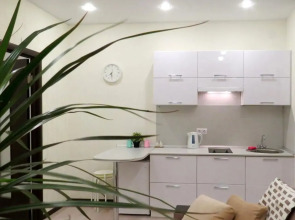 Квартира с прекрасным видом на реку Волхов