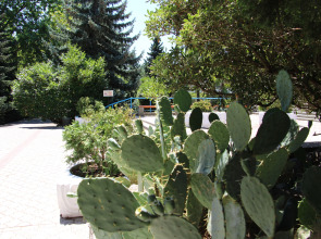 Отель Чайка ТОК