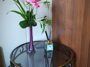 Частный Дом Шанти