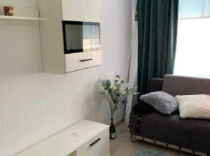 Квартира Студия Светлогорск молодежная