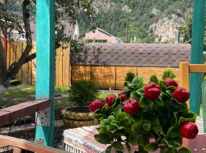 Райские яблоки