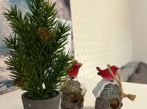 Апартаменты Центр всех улиц