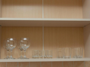 Апартаменты однокомнатные (117) Серебровская 91