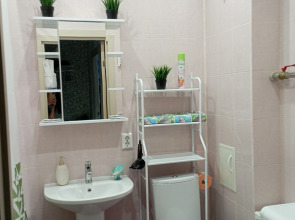 Апартаменты У метро Девяткино