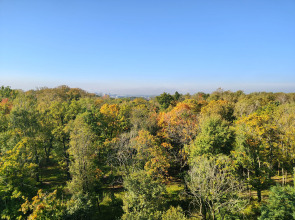 Апартаменты  Kenig Holidays с видом на парк в центре в ЖК Централ парк