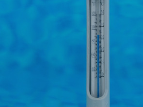 Апартаменты Белая ворона