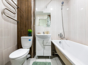 Улучшенные апартаменты Natali на метро Южная