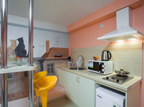 Апартаменты на Гаванской (3)