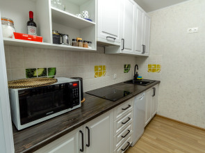 Квартира 2х комнатная Business Apart Lux на Маяковского