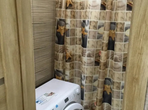 Квартира 2х-комнатная с  Хорошим Ремонтом