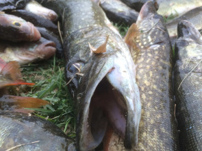 База отдыха Замок