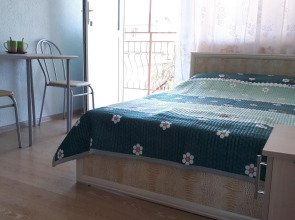 Гостевой дом Южный дворик на Партизанской