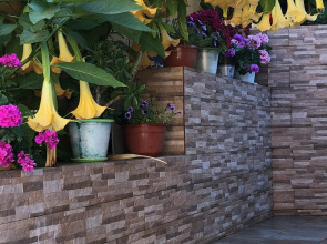 Гостевой дом Виктория плюс