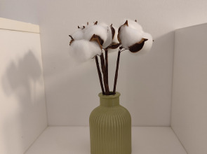 Квартира Евро-трёшка у моря