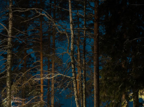 Глэмпинг Террасы