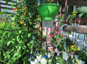 Гостевой дом Роман и Светлана