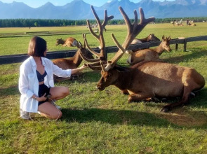 Отель Саянский марал