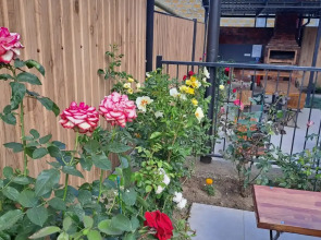 Гостевой дом Modern