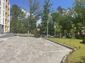 Апартаменты в сосновом лесу