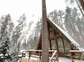 Частный дом Уютный дoм A-frame