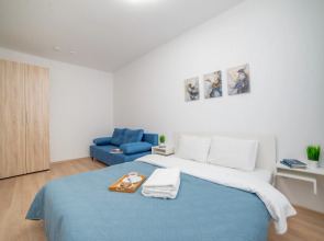 Апартаменты Сурикова 63