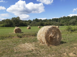 Гостевой дом в деревне Чернокуново