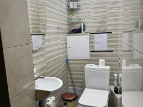 Апартаменты Stefan Cel Mare