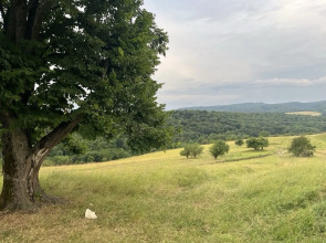 Частный дом Дизайнерский Барнхаус