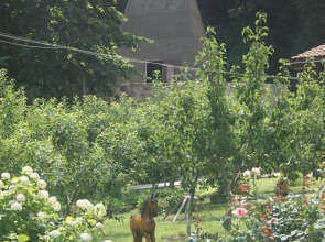 Отель Райский Сад