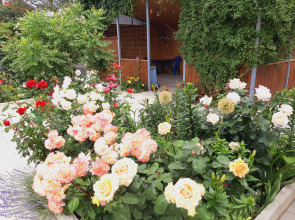 Меблированные комнаты в частном секторе