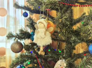 Волшебный отдых в 3-комнатной квартире: зимняя сказка в сосновом бору Великого Устюга