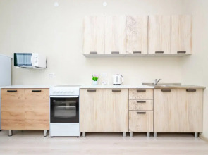 Апартаменты Cosmos Apart на Революции 52 В  (1)