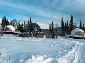 Кемпинг DzenDome