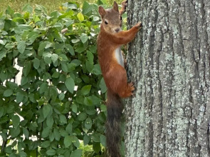 Апартаменты Двухуровневая студия с двумя санузлами в парке