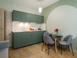 Квартира Горный институт