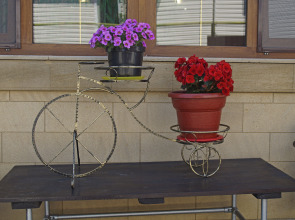 Гостевой дом Елена