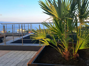 Апартаменты в Алуште (500 метров до моря) Морская Звезда