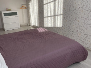 Апартаменты Александровский