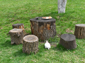 Отель Green Wood