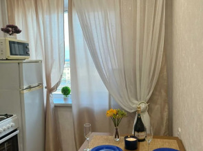 Апартаменты 1-комнатные с видом на Волгу (Бухта)