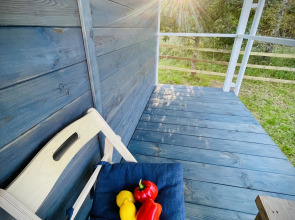 Частный дом в Березино