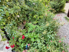 Гостевой дом Морская сказка