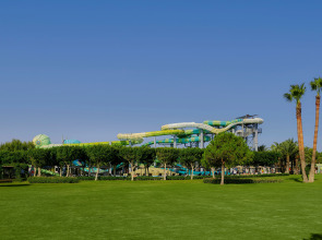 Lara Barut Collection