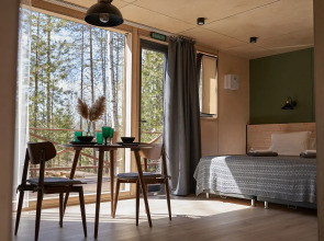 Снежные Гуси в Байкальске