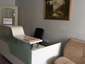 Отель Ариэль-Д