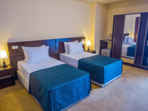 Отель Ani Central Inn