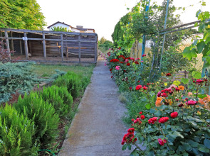 Гостевой дом Парк-отель Казантип Центр