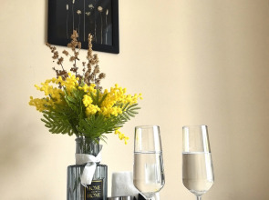 Апартаменты Aurora Center