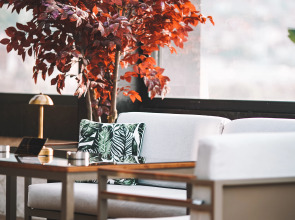 Отель Almira Thermal Spa & Convention Center